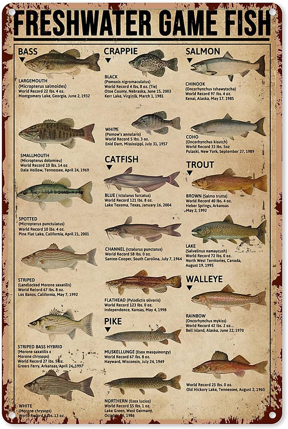 Retro Gaming Us - Y1, Visserij Kunstposters Metalen bord Zoetwaterwildvis