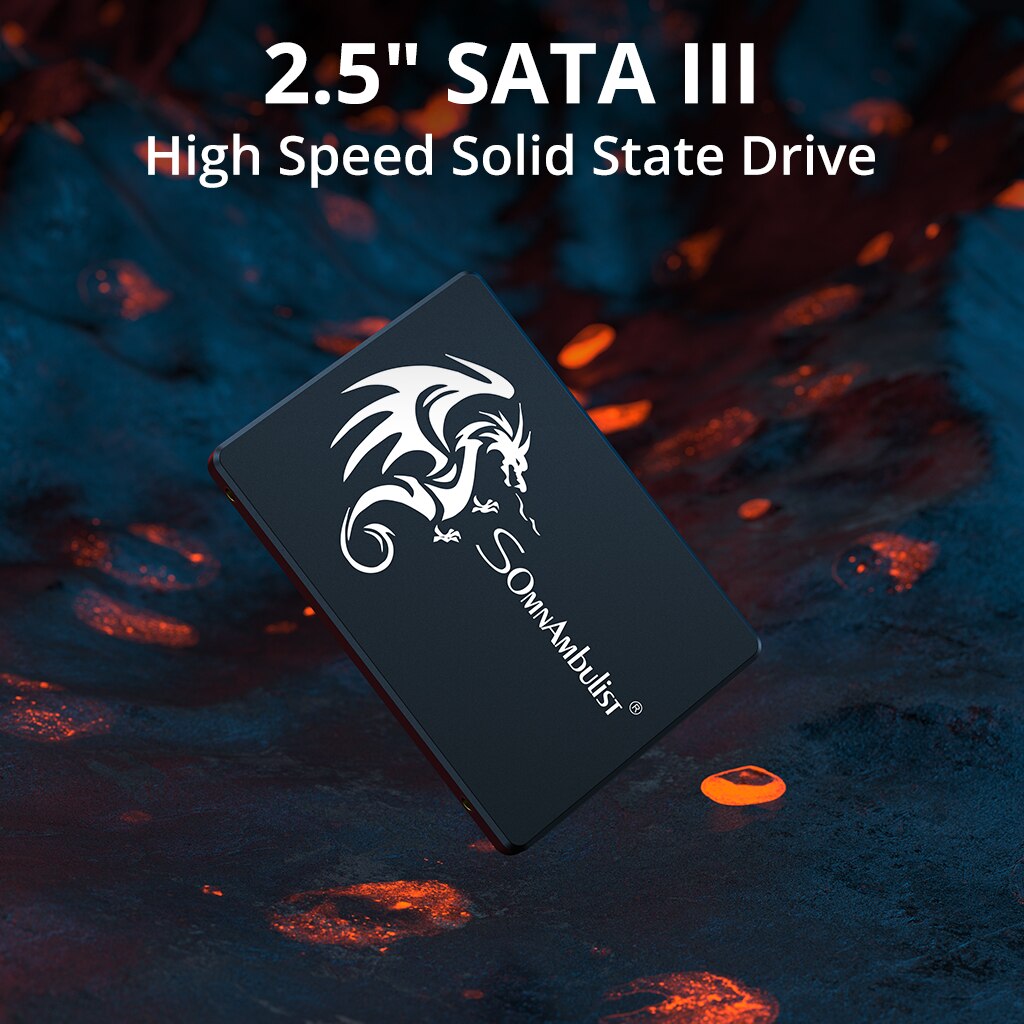 SomnAmbulist SSD 120GB 240GB 4 - Samsung Ssd Evo 870 recensie en prijs